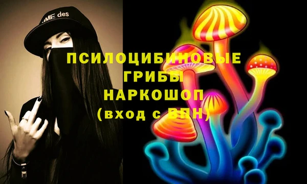 твердый Мурманск