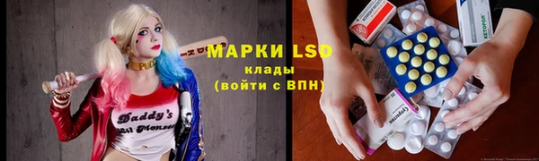 ПСИЛОЦИБИНОВЫЕ ГРИБЫ Заводоуковск