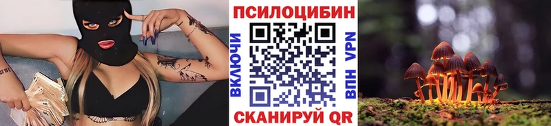 Псилоцибиновые грибы MAGIC MUSHROOMS  сколько стоит  блэк спрут зеркало  Северо-Курильск 